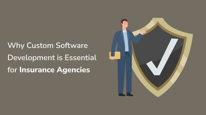 custom insurance software development