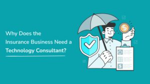 insurance technology consultant