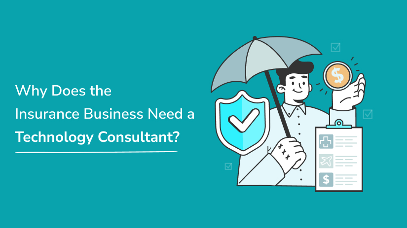 insurance technology consultant