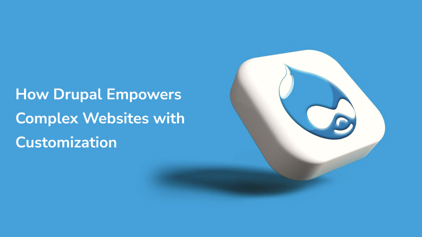 custom drupal development