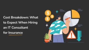 insurance IT consultant cost breakdown