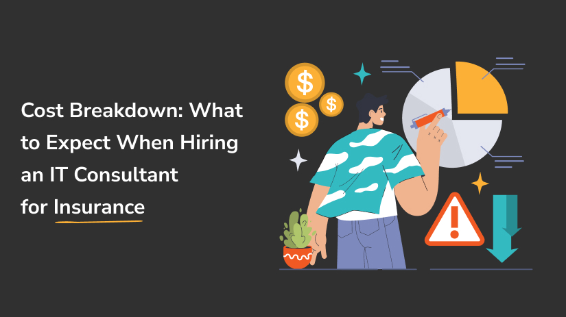 insurance IT consultant cost breakdown