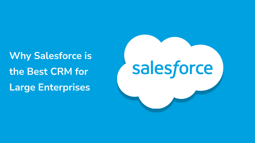 Salesforce for Large Enterprises