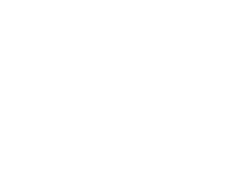 Camaleon CMS Development Company