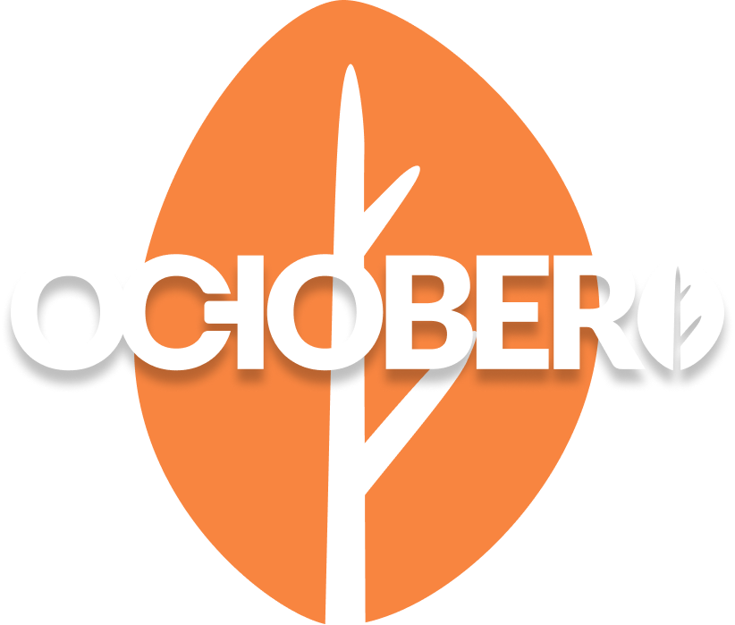 October CMS Development Services