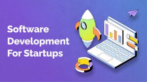 software development for startups
