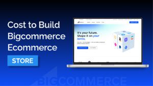 it cost to build Bigcommerce ecommerce store