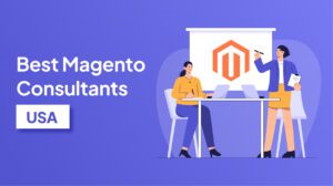 Magento Consultants in USA