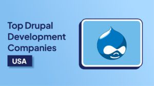 Drupal Development Companies USA
