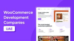 Top WooCommerce Development Companies in the UAE
