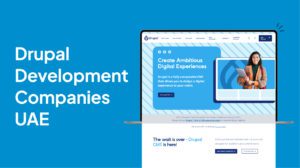 Custom Drupal Development Companies in UAE