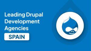 Drupal Development Agencies in Spain