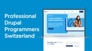 Drupal Programmers in Switzerland