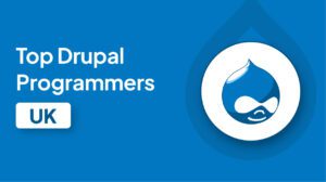Top Drupal Programmers in the UK