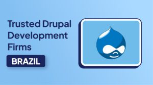 Trusted Drupal Development Firms in Brazil
