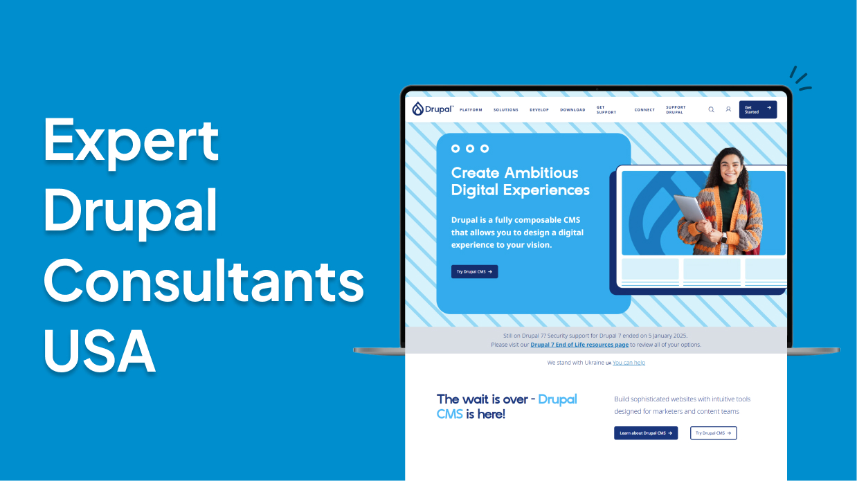 Expert Drupal Consultants in the USA