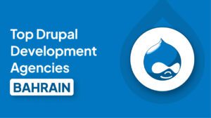 Top Drupal Development Agencies in Bahrain for Enterprise-Grade Solutions