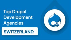 Top Drupal Development Agencies in Switzerland.