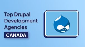 Top-Rated Drupal Development Agencies Canada