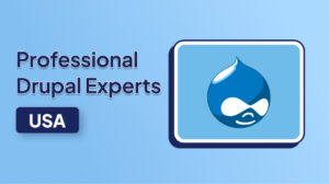 Professional Drupal Experts in the USA | Web Solutions