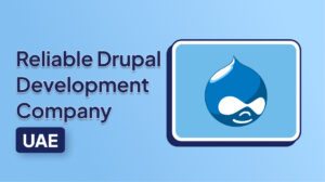 Drupal Development Company UAE