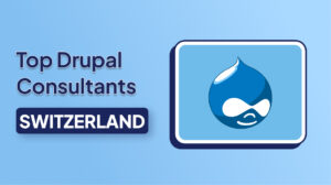 Top Drupal Consultants in Switzerland Empowering Long-Term Digital Transformation
