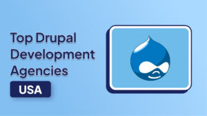 Top Drupal Development Agencies in the USA Delivering Innovative Enterprise Web Solutions