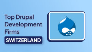 Top Drupal Development Firms in Switzerland for Large-Scale Projects