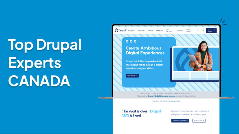 Top Drupal Experts in Canada for Professional and Efficient Websites
