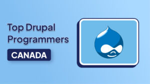 Top Drupal Programmers in Canada Delivering Professional & Reliable Web Development